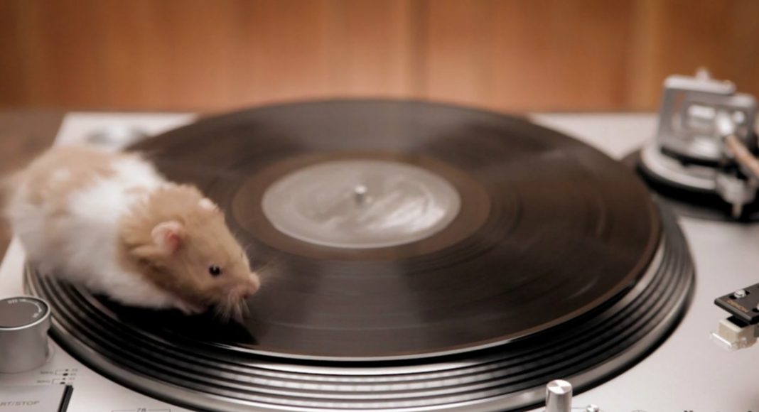 rodents on turntables, a live nation commercial
