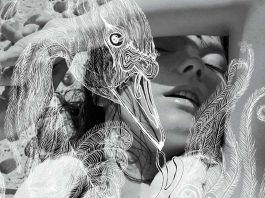 bjork Vespertine